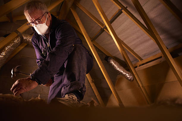 Best Eco-Friendly Insulation in Lathrup Village, MI